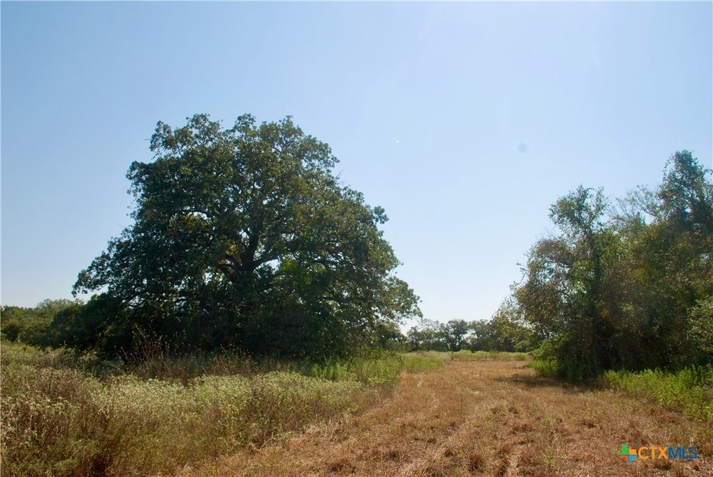 Picture 18