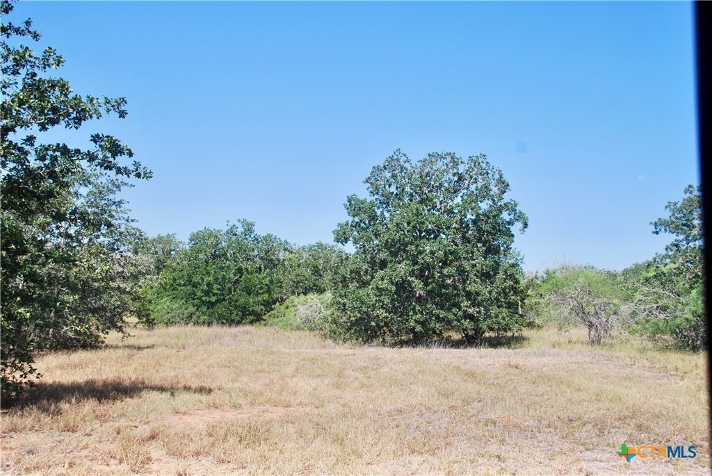 Picture 9