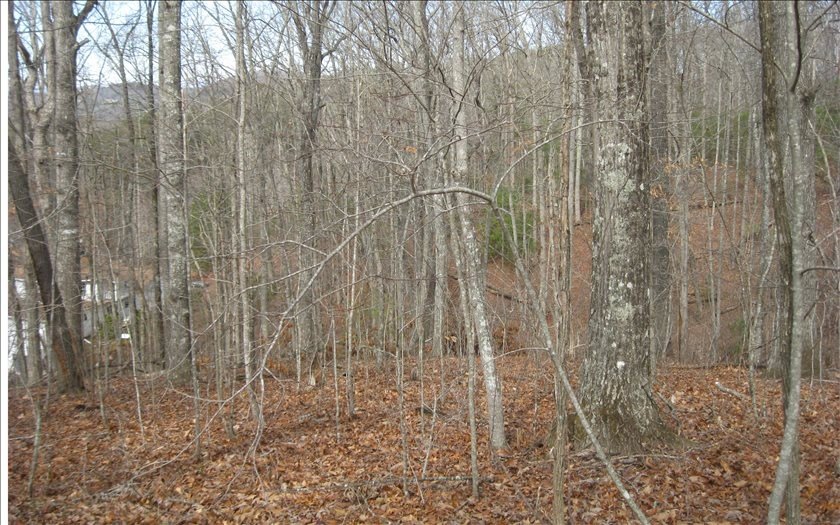 Picture 2