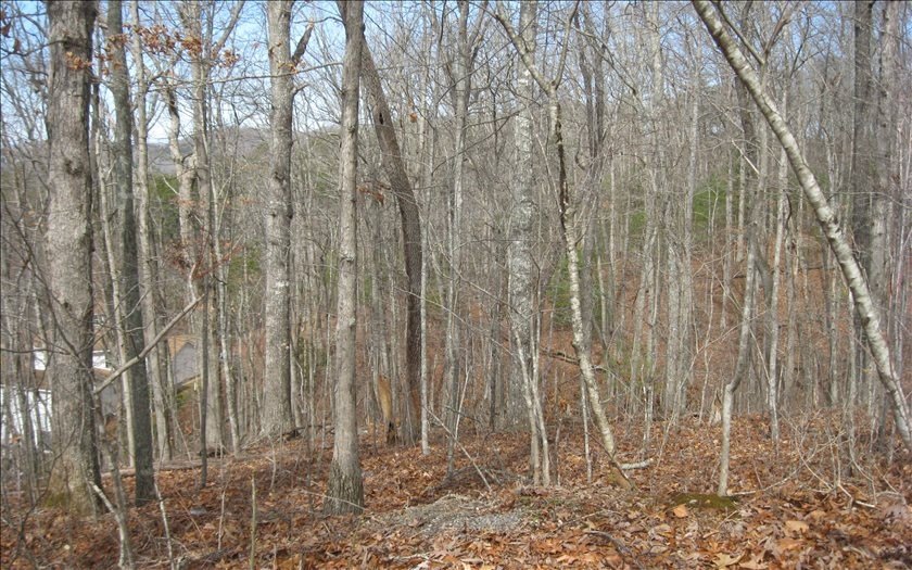 Picture 4