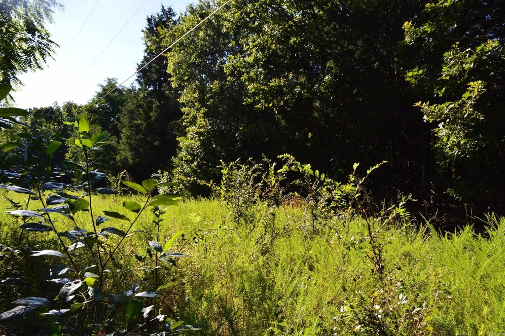 Picture 9