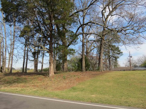Land in Florence, Alabama