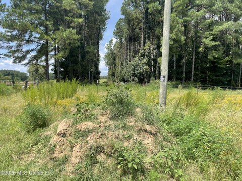 Land, Senatobia, MS
