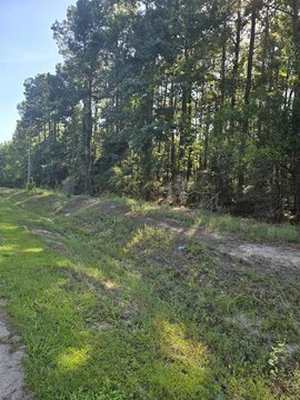 LAND, Myrtle Beach, SC