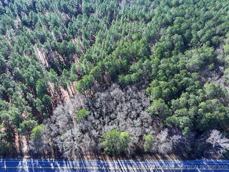 Heavily Wooded Lot in Fairmont, NC