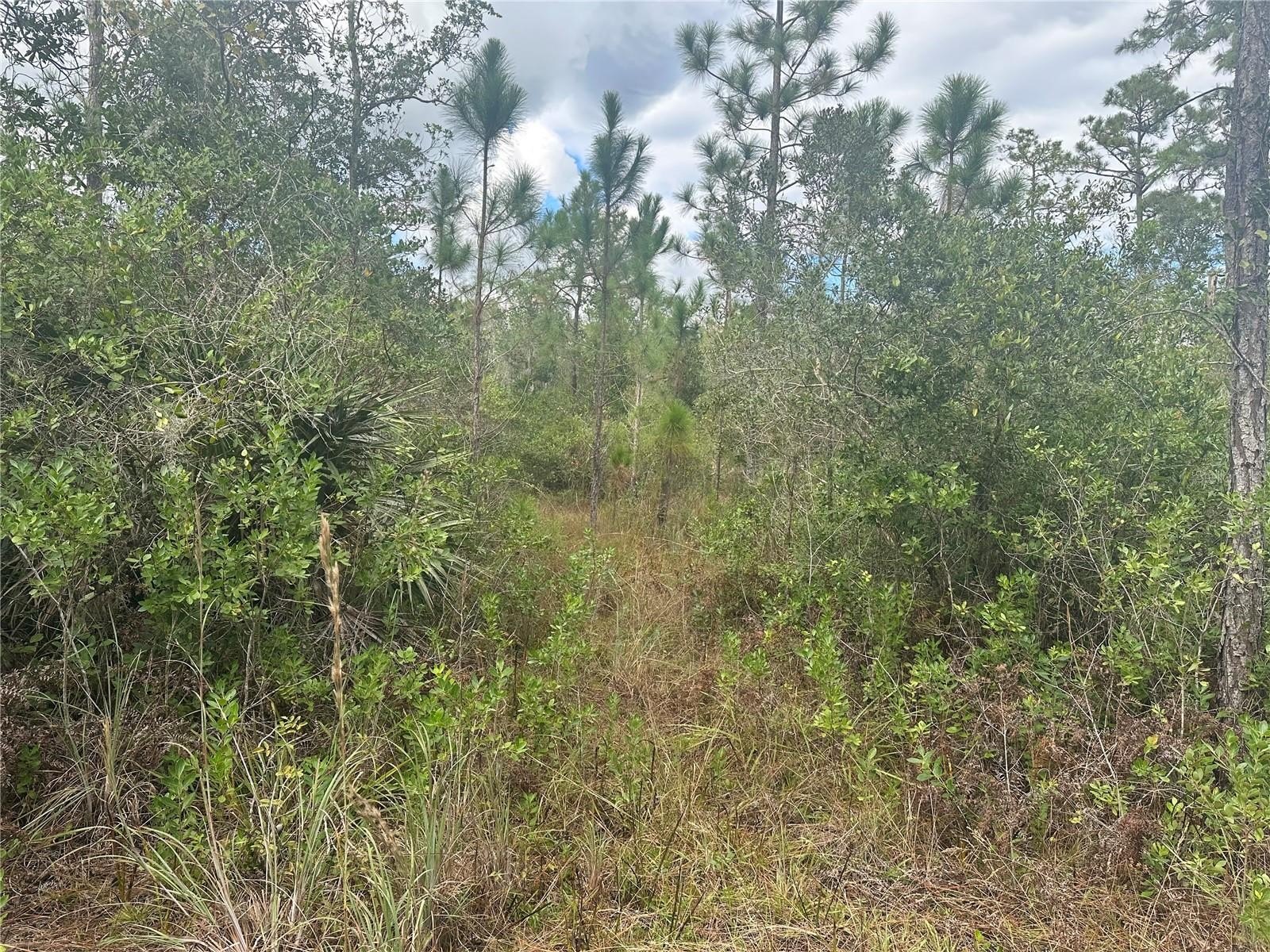 Residential Land in Christmas, Florida