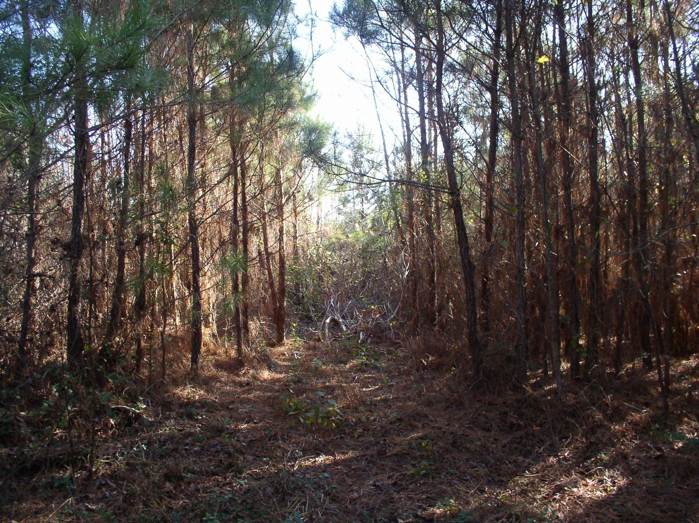Secluded Acreage in Warren County
