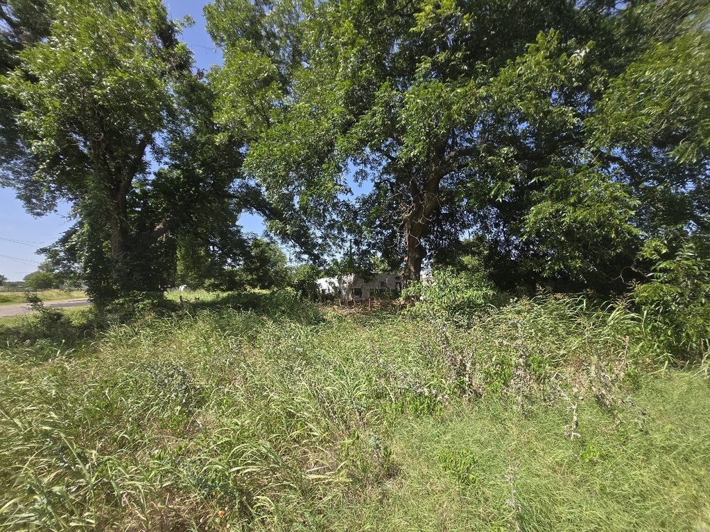 Picture 4
