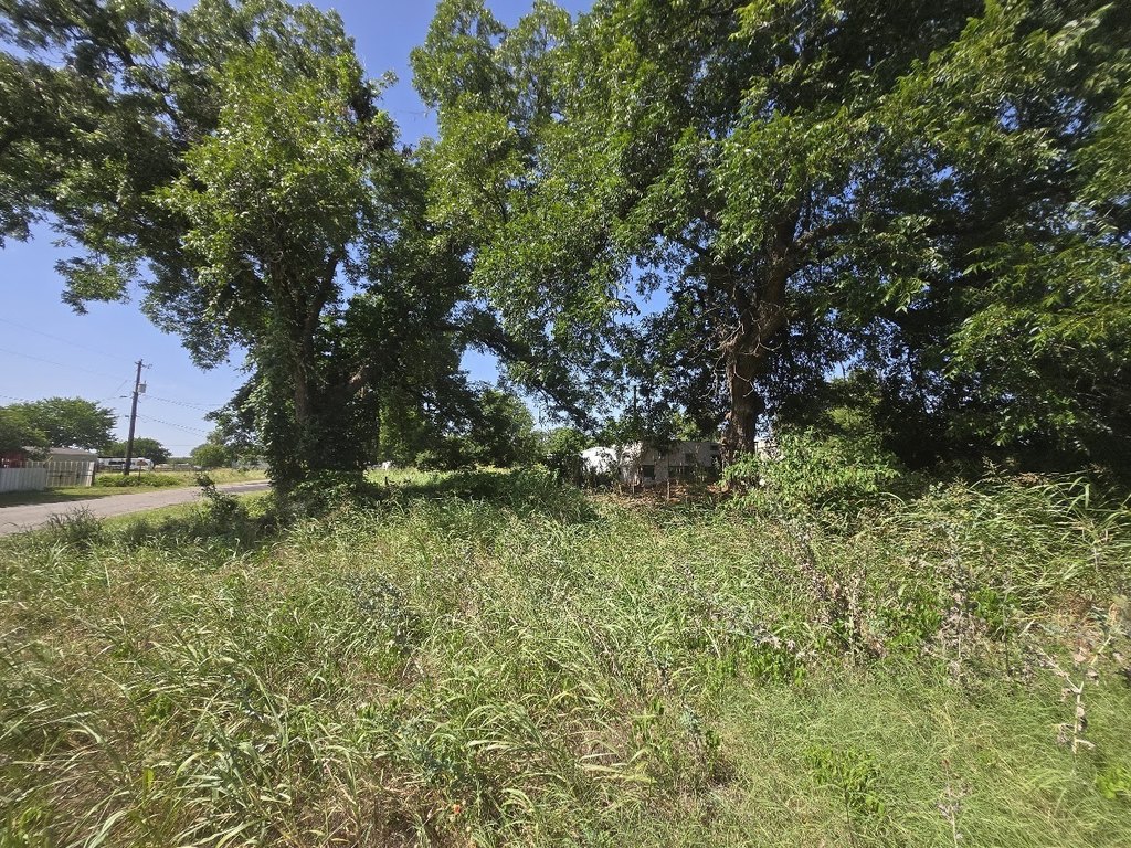 Picture 3