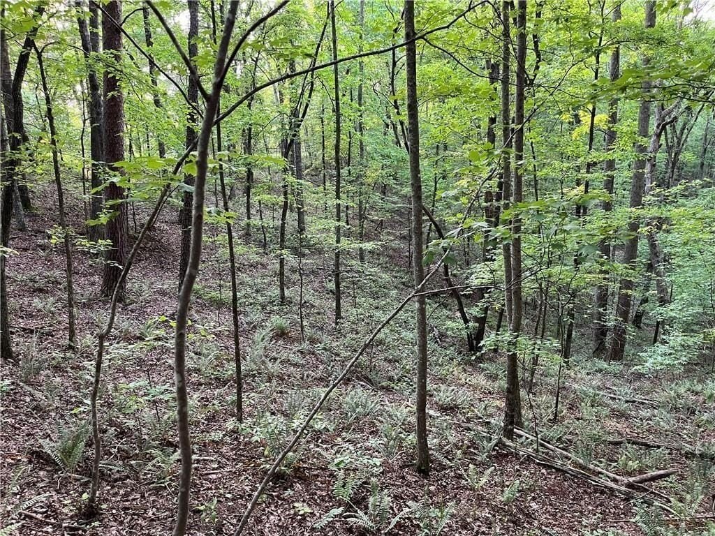 Talking Rock Creek Resort Land