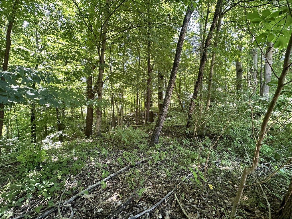 Picture 29