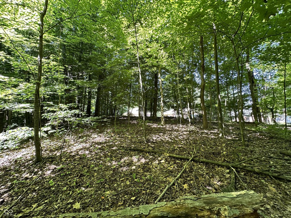 Picture 16