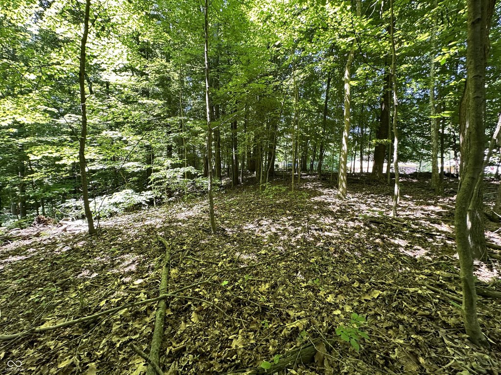 Picture 17