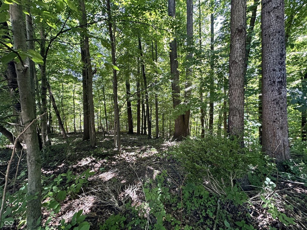 Picture 30