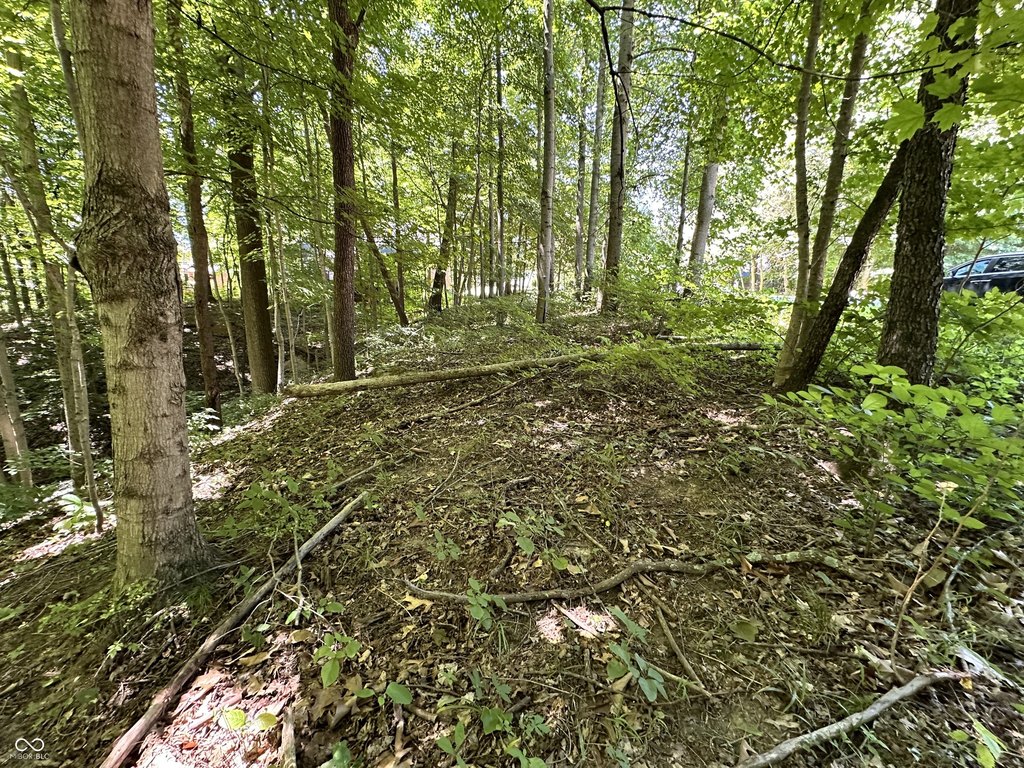 Picture 15