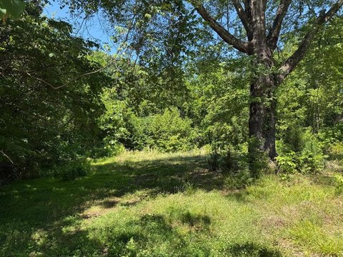 Residential Lot in Phenix, VA