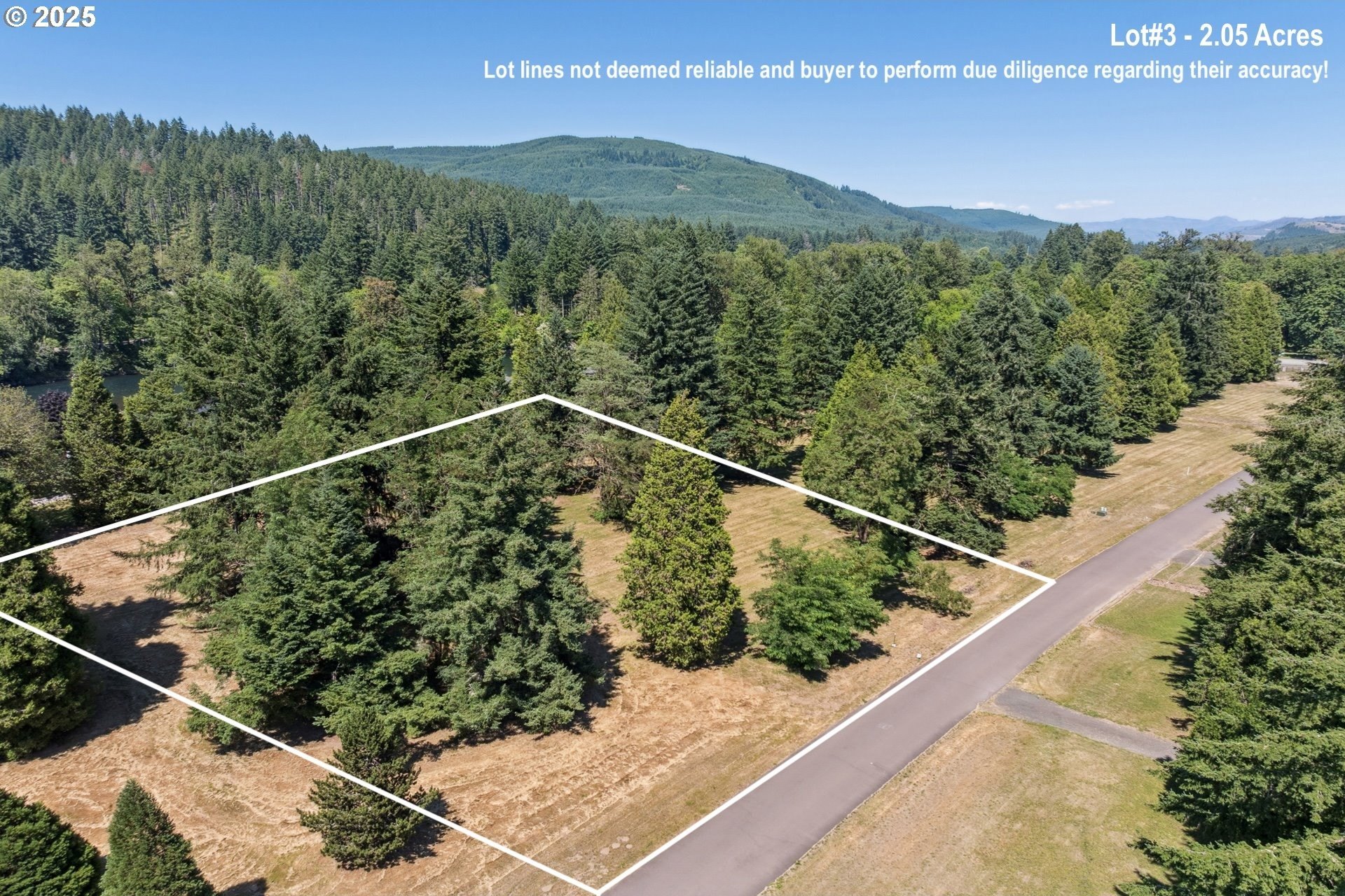 Buildable Land Near McKenzie River