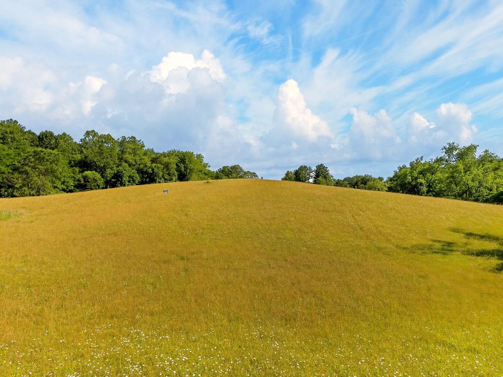 Picture 29