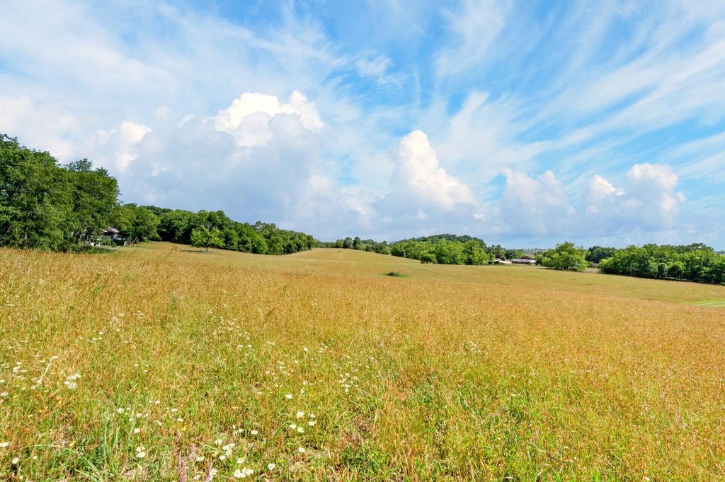 Picture 22