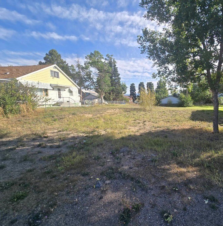 Picture 6