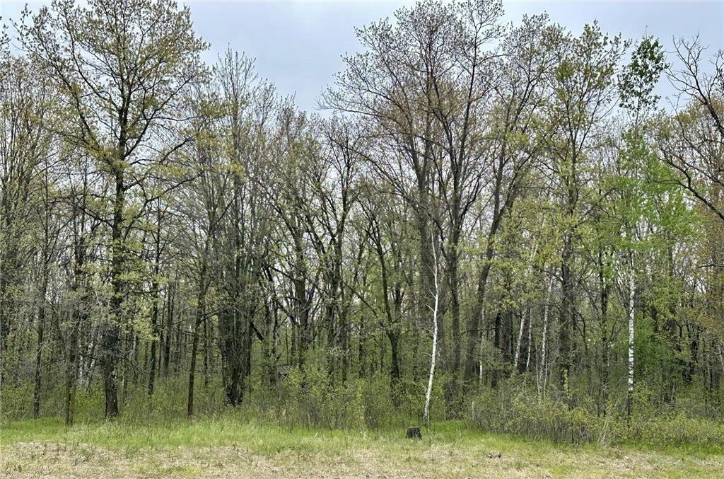 Scenic 35-Acre Recreational Land