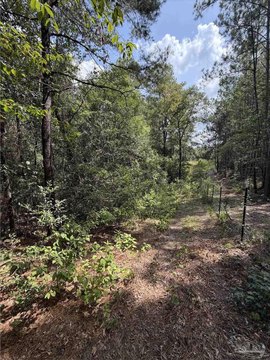 Land, Brewton, AL