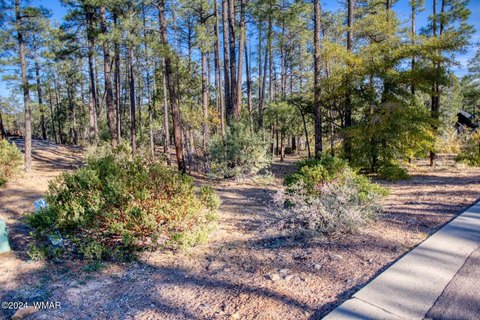 Sierra Pines Land in Show Low