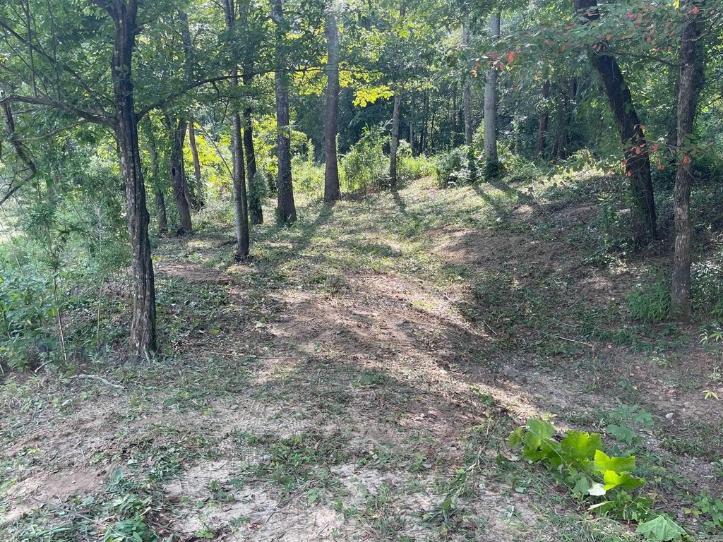 Picture 16