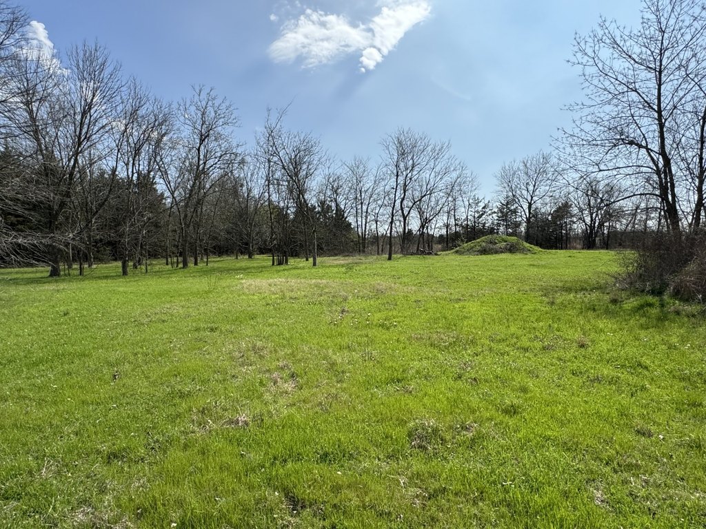 Picture 14