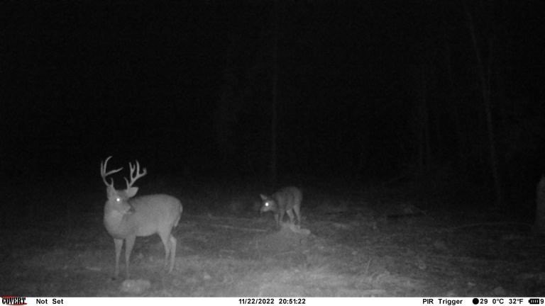 Picture 30