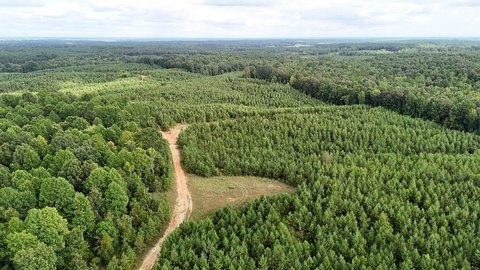 Booneville Land with Hunting Features