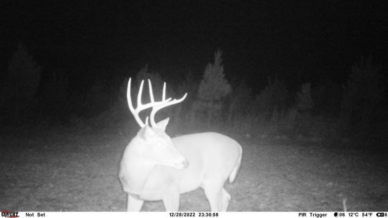 Picture 6