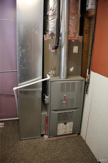 Picture 11