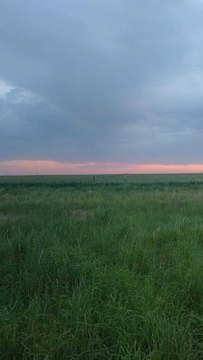 Shallowater, TX Acreage Available