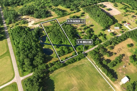 Wooded Land Parcel in Paris