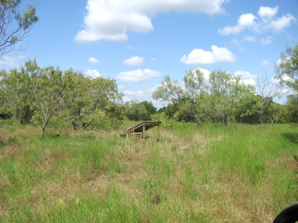 Picture 16