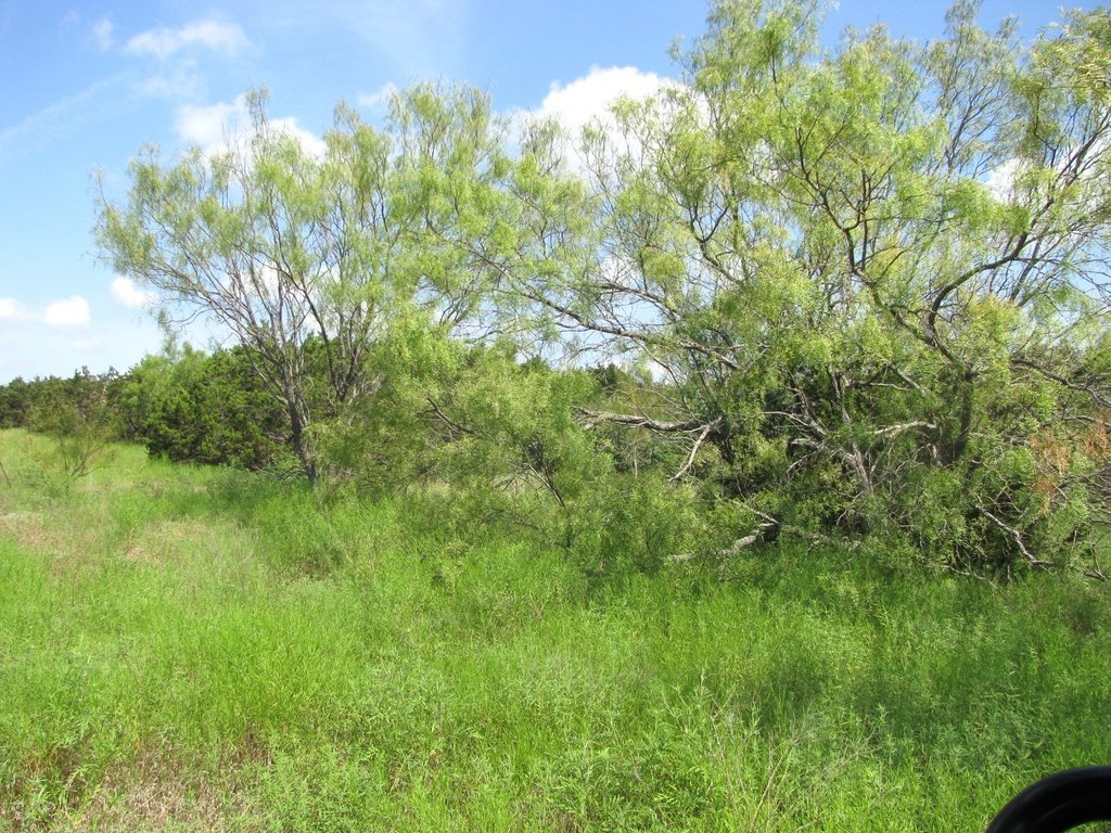 Picture 12