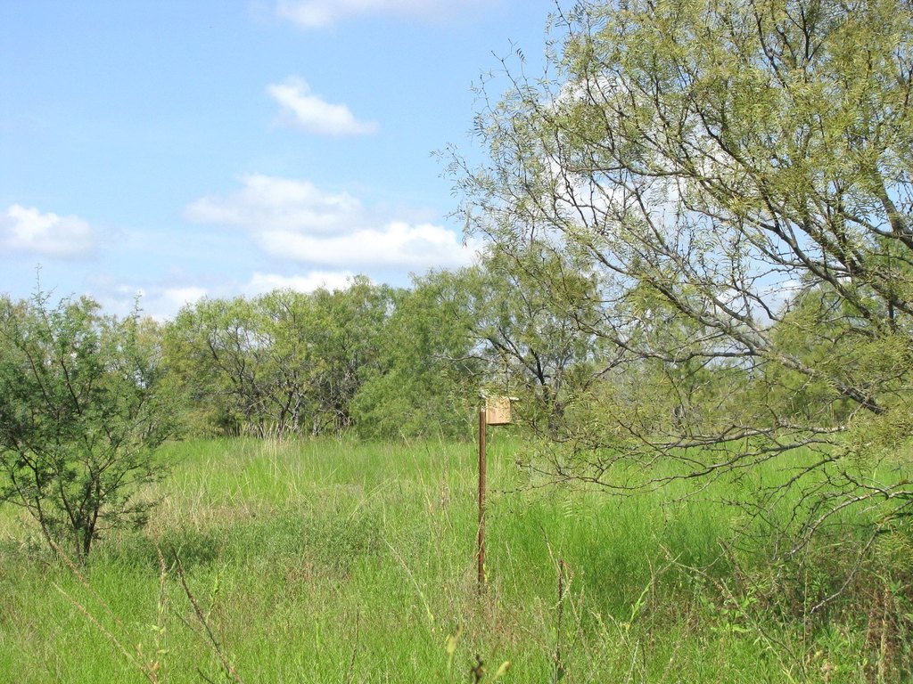 Picture 20