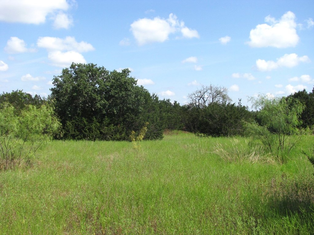 Picture 19