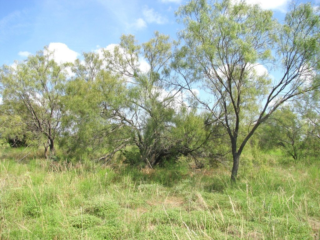 Picture 21