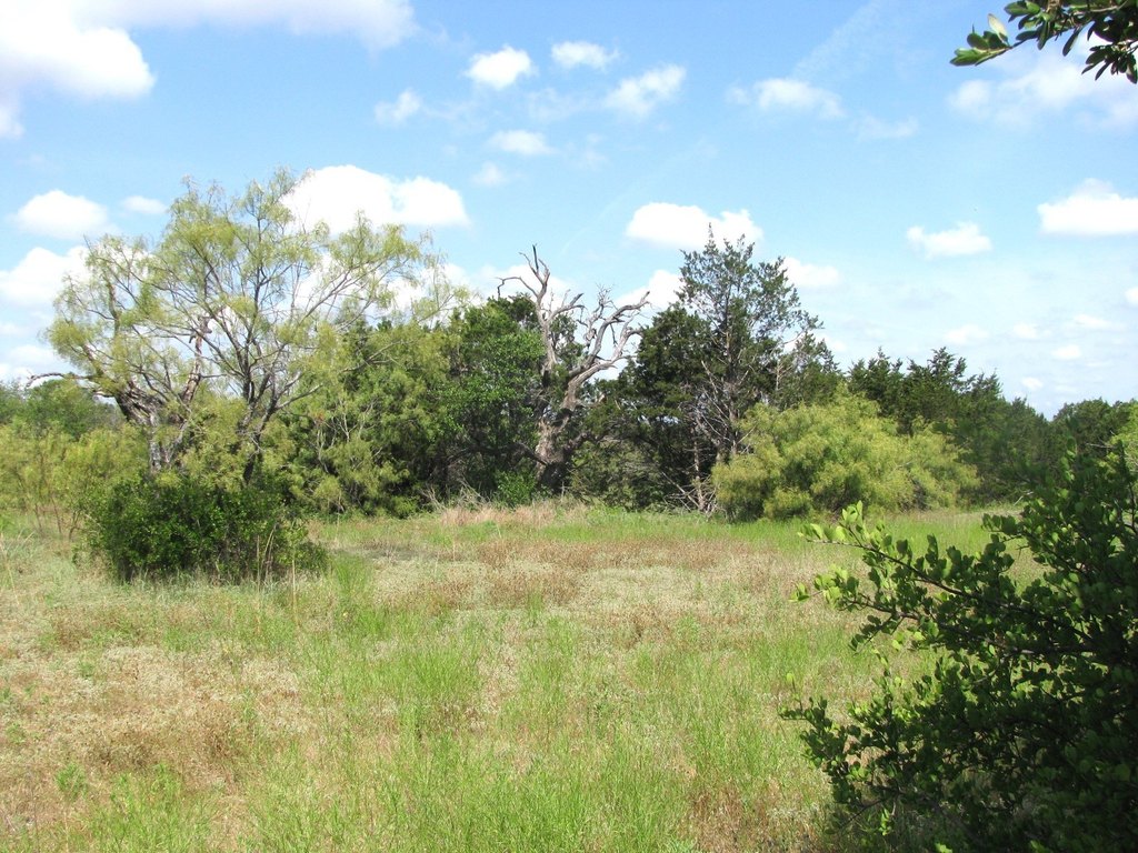 Picture 18