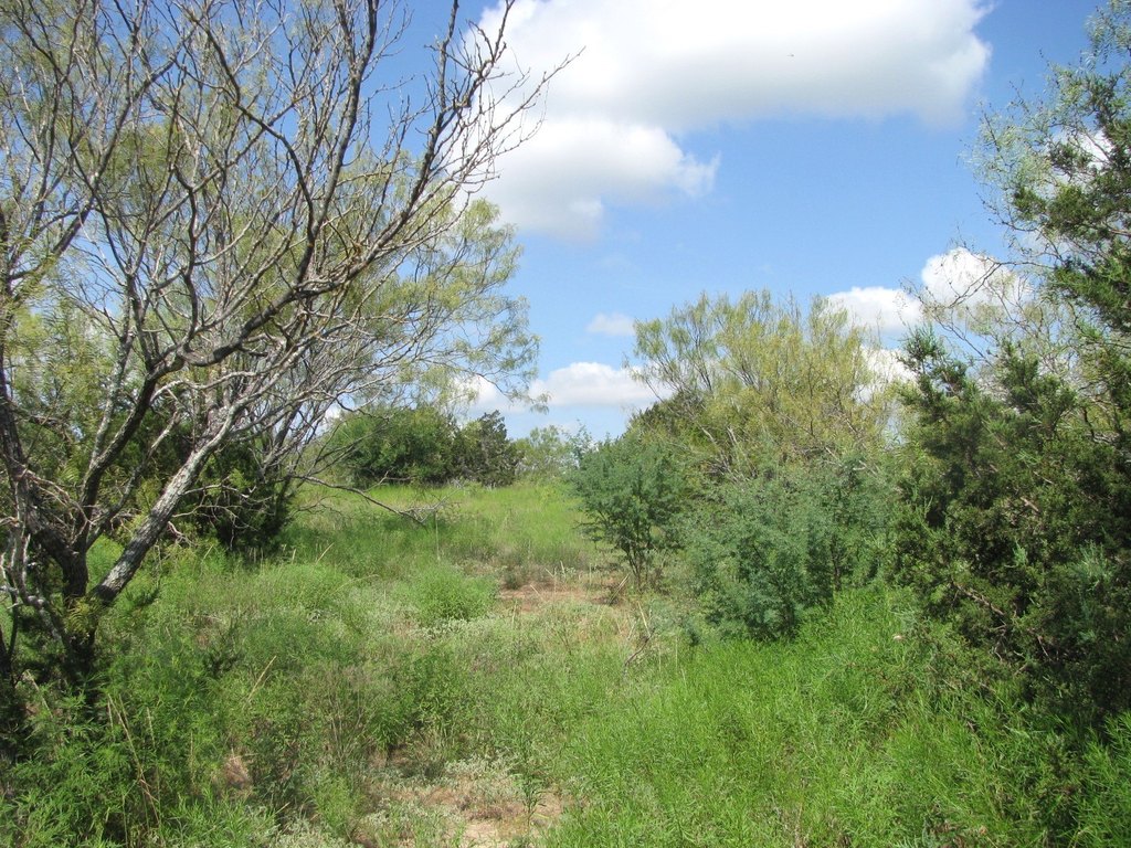 Picture 10