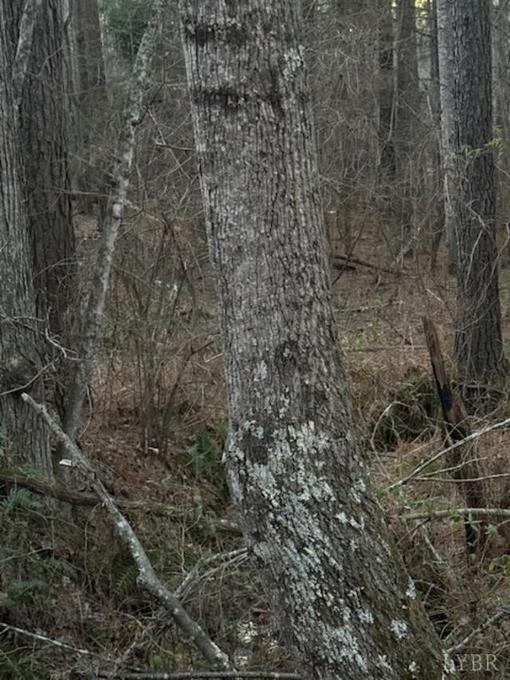 Picture 15