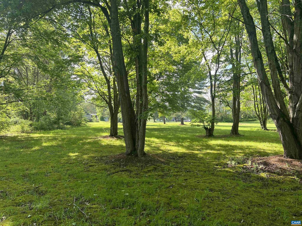 Picture 39