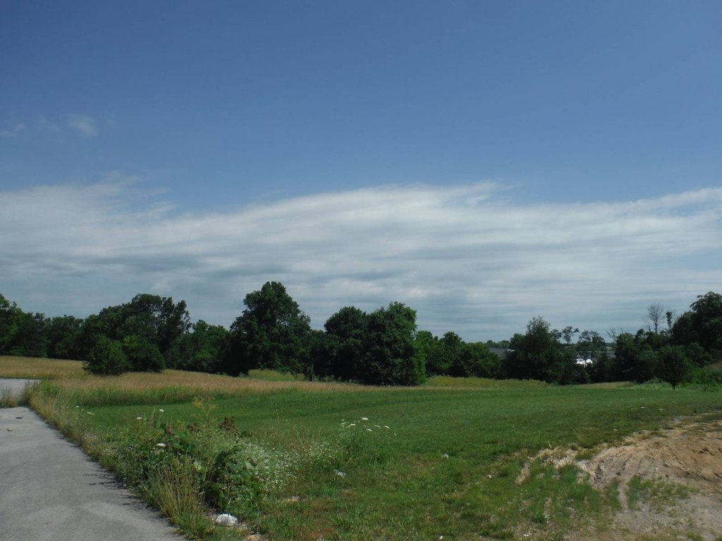 Picture 10