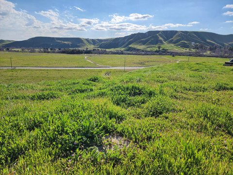 Land, Bakersfield, CA
