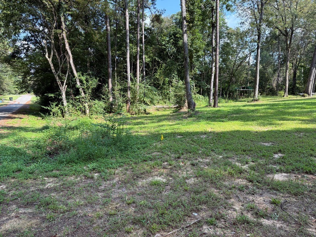 Picture 5