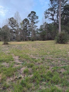 LAND - Carriere, MS