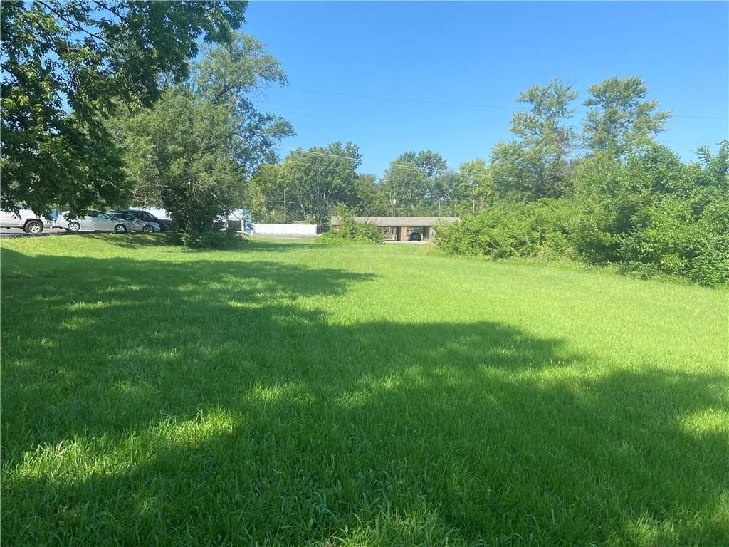 Picture 5