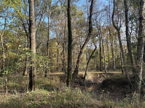 Hunting and Recreational Ranch with Barn